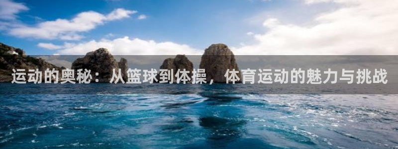 运动的奥秘：从篮球到体操，体育运动的魅力与挑战