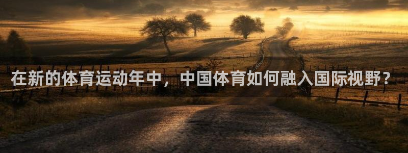 在新的体育运动年中，中国体育如何融入国际视野？
