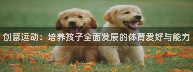 创意运动：培养孩子全面发展的体育爱好与能力