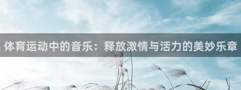 体育运动中的音乐：释放激情与活力的美妙乐章
