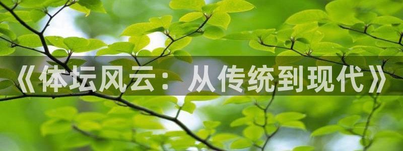 《体坛风云：从传统到现代》