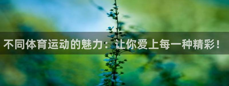 不同体育运动的魅力：让你爱上每一种精彩！