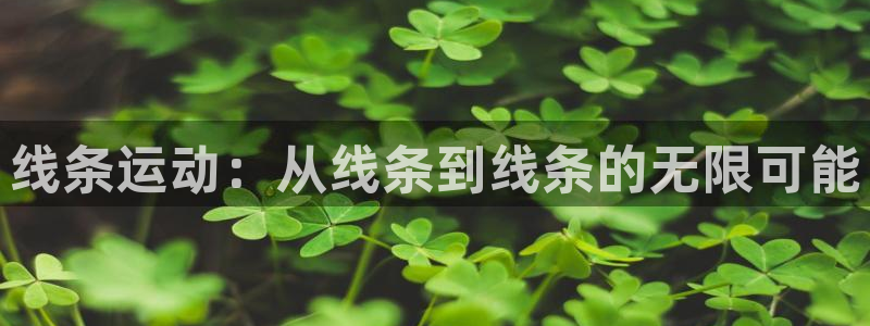 线条运动：从线条到线条的无限可能