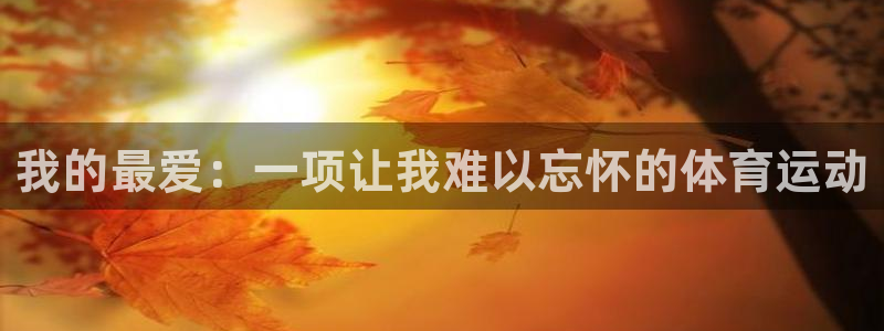 我的最爱：一项让我难以忘怀的体育运动