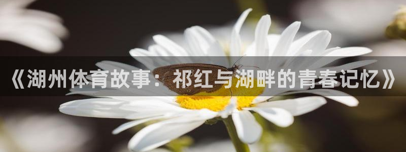 《湖州体育故事：祁红与湖畔的青春记忆》