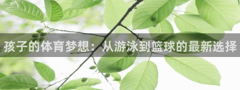 孩子的体育梦想：从游泳到篮球的最新选择